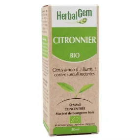 Herbalgem Macérat Concentré Citronnier Bio 30ml